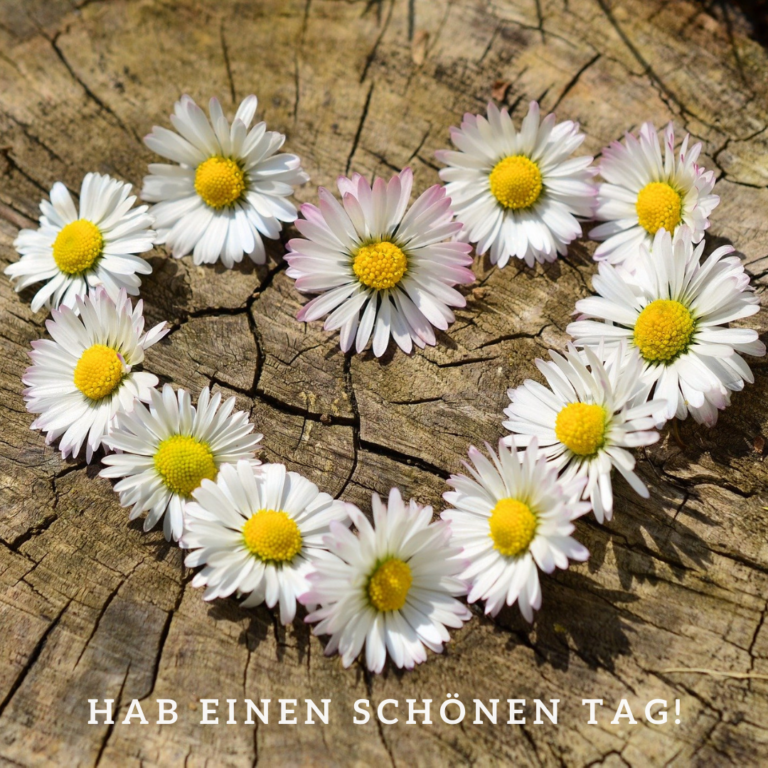 37 Hab einen schönen Tag Tipps5